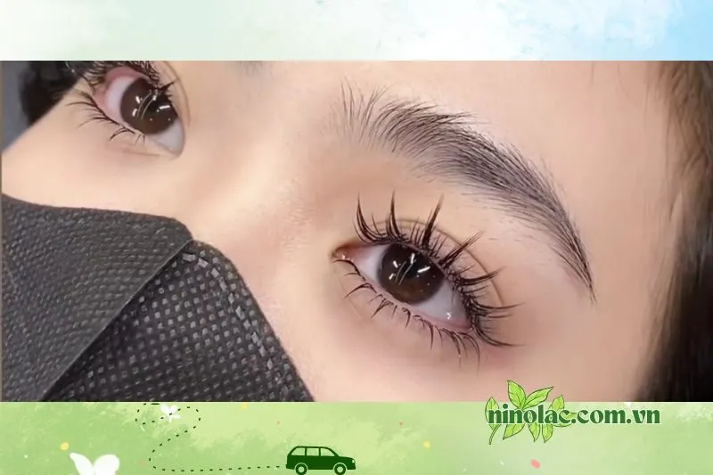 Chi Nguyên Beauty 0 đào tạo nghề nối mi Thái Nguyên