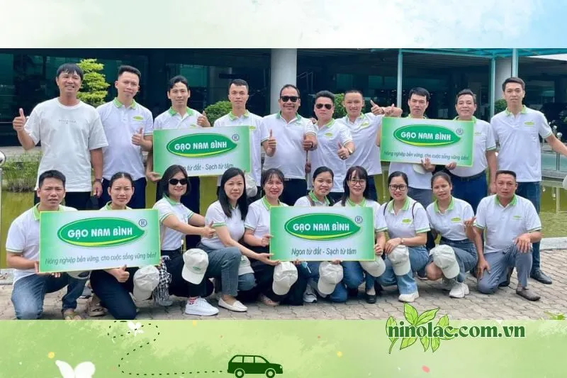 Gạo Nam Bình Thái Nguyên