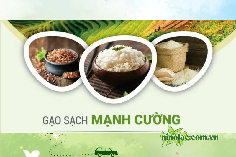 Gạo Sạch Mạnh Cường Thái Nguyên