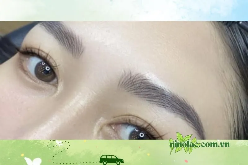 Spa Đẹp Daisy (Định Mệnh Hoàng) - điêu khắc chân mày Thái Nguyên