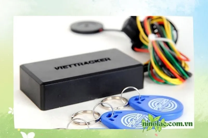 A Tiến Decal