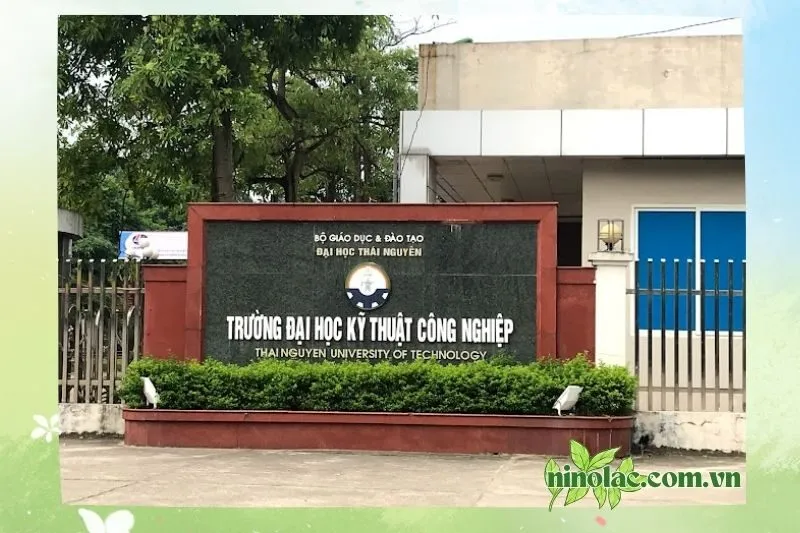 Đại học Kỹ thuật Công nghiệp Thái Nguyên