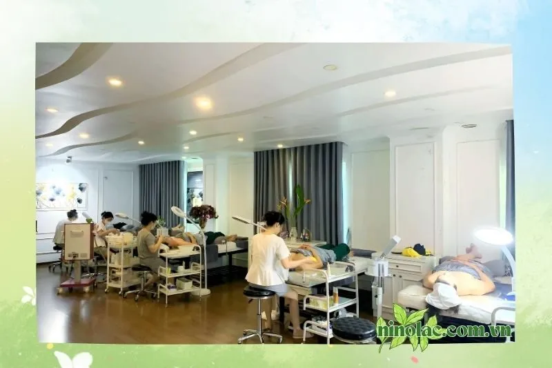 Thẩm Mỹ Việt Phượng
