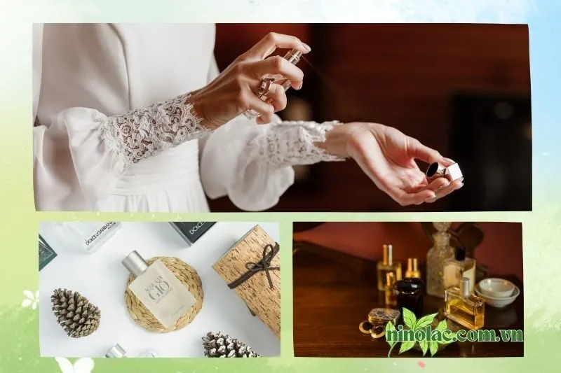 Top 5 địa chỉ mua nước hoa Thái Nguyên