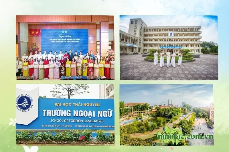 Top 8 đại học hàng đầu Thái Nguyên