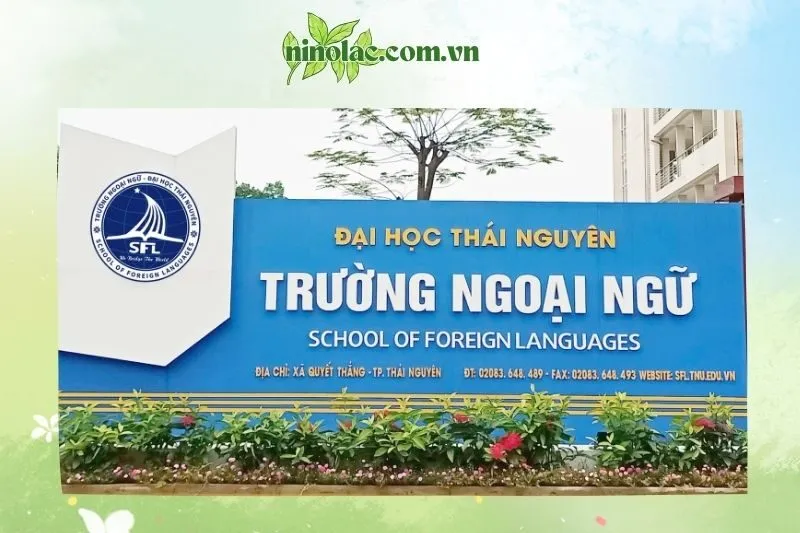 Trường Ngoại ngữ - Đại học Thái Nguyên