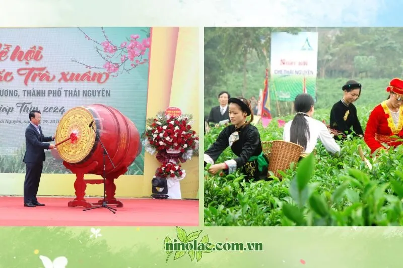 Giới thiệu về Lễ hội Hương Sắc Trà Xuân Thái Nguyên