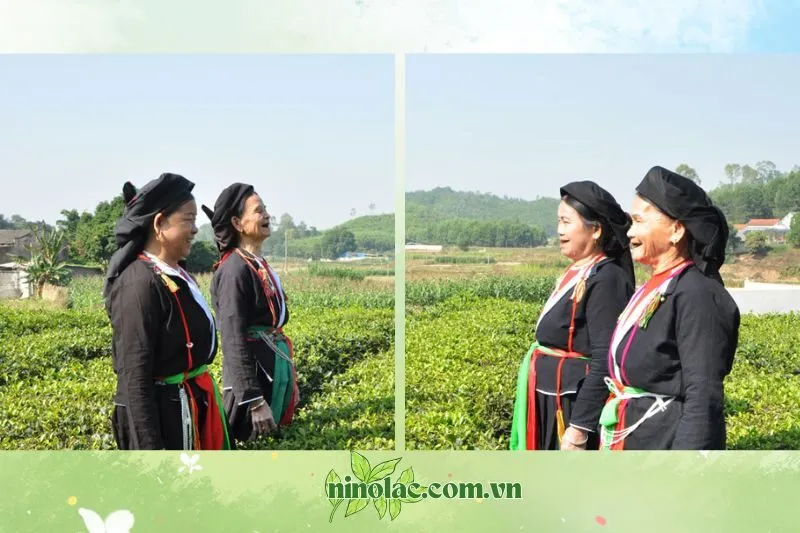 Tìm hiểu về Hát Soọng Cô Thái Nguyên